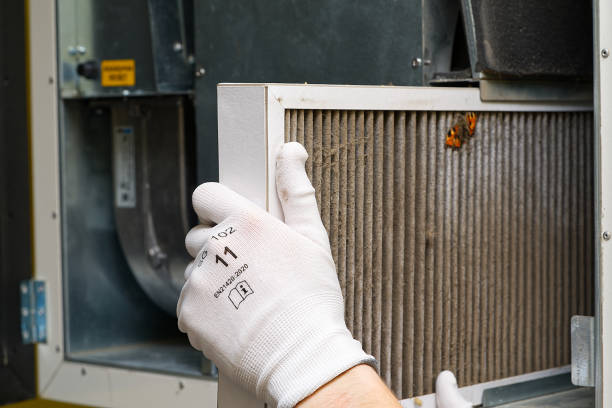 Best Local Air Duct Cleaning Services  in New Ulm, MN